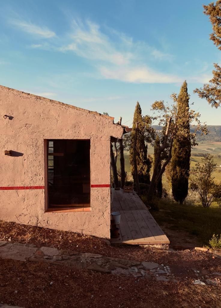 Poggio Magginga Terricciola Exterior foto
